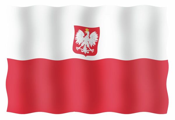 ГОСТЕВЫЕ ФЛАГИ